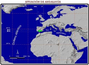 situacion