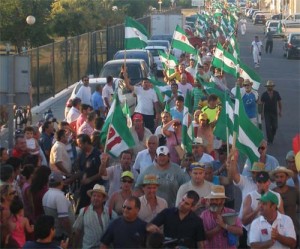 101441_algaba