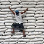 materias_primas materias_primas