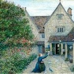 stillmanfeedingdoves